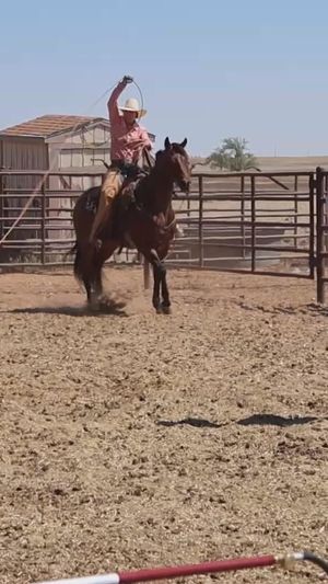 Video post by @herculesagmfg on Facebook