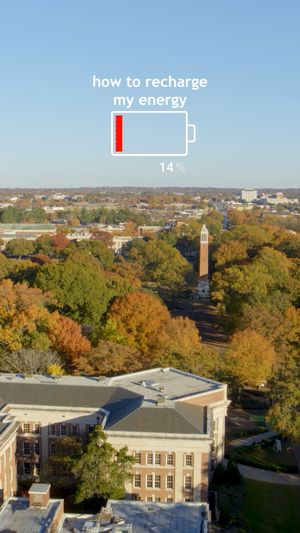 Video post by @universityofalabama on Facebook