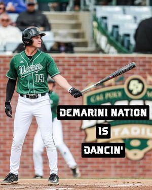 Image post by @demarini on Instagram
