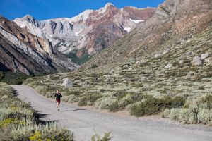 Image post by @runinrabbit on Instagram