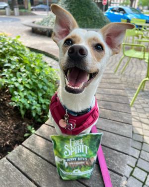 Image post by @triumphpetfood on Instagram
