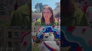 Video post by @nmasunivision on YouTube