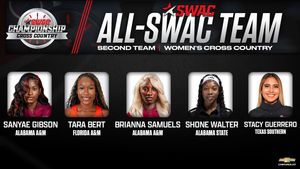 Image post by @theswac on Instagram