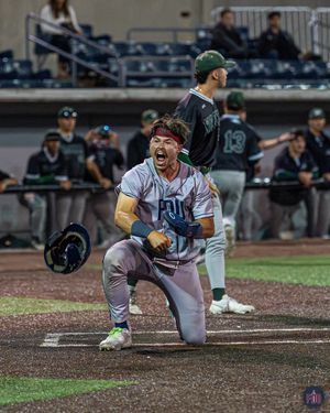 Image post by @FDUKnightsBase on Twitter