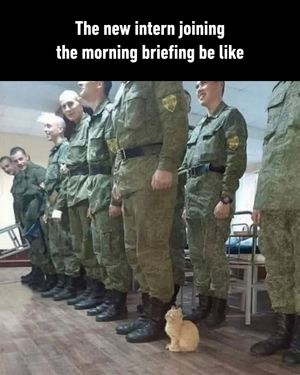 Image post by @9gag on Instagram