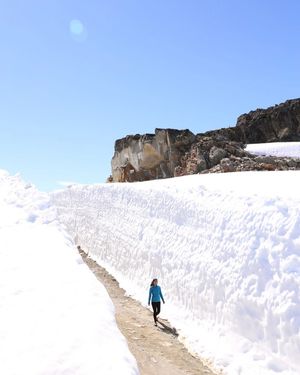 Image post by @whistlerblackcomb on Instagram
