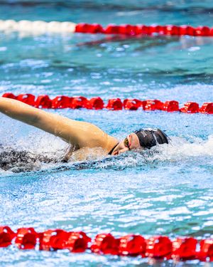 Image post by @gobearcatsswim on Instagram