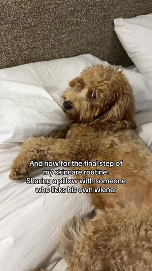 Video post by @tedflixnchill on TikTok