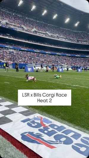 Video post by @littlestumpsracing1 on Facebook