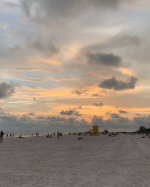 Image post by @sarasotaparadise on Instagram