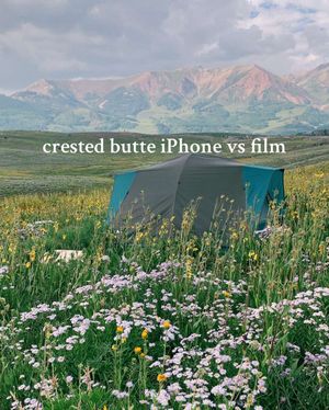 Video post by @filmbychloeg on TikTok