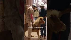 Video post by @peacock on YouTube