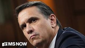Video post by @msnbc on YouTube