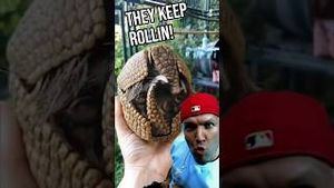 Video post by @evolsoulx on YouTube