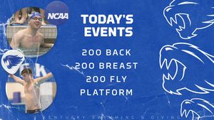 Image post by @UKSwimDive on Twitter