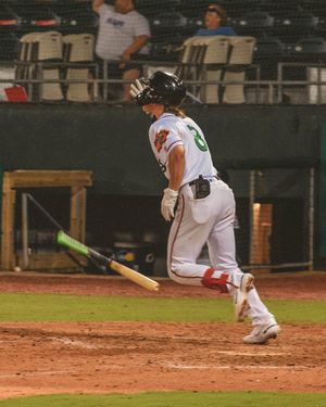 Image post by @gowoodducks on Instagram