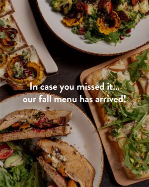 Image post by @lepainquotidienus on Instagram