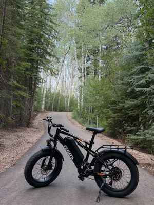 Image post by @elifxusa on Instagram
