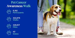 Image post by @company/nationwidepet on LinkedIn