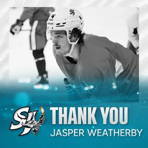Image post by @sjbarracuda on Instagram