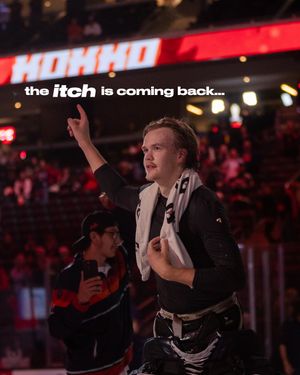 Image post by @firebirds on Instagram