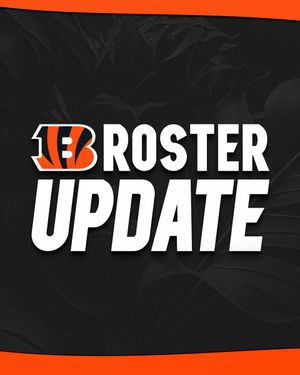 Image post by @Bengals on Twitter