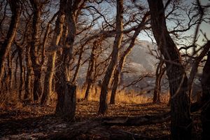 Image post by @jakejohanson_photo on Instagram