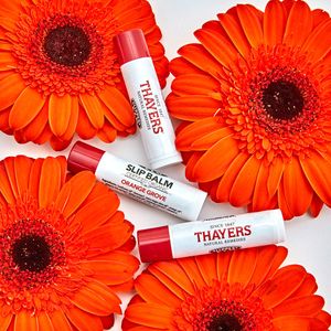 Image post by @thayers on Instagram