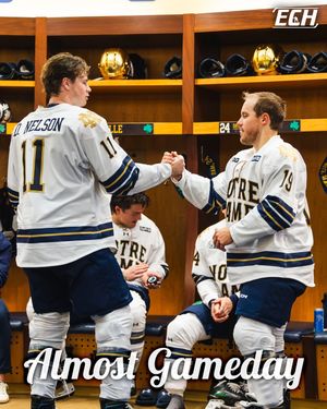 Image post by @everythingcollegehockey on Instagram