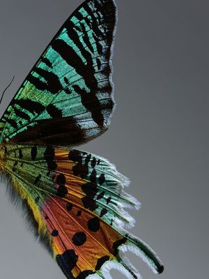Image post by @unsplash on Instagram