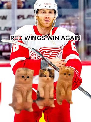 Image post by @redwingscoverage on Instagram