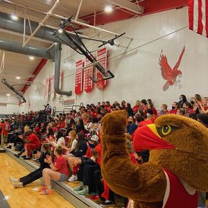 Image post by @redhawklife on Instagram