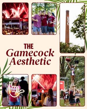 Image post by @uofscstudents on Instagram