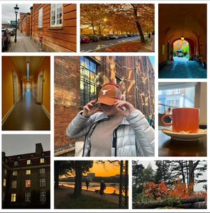 Image post by @utaustintx on Instagram