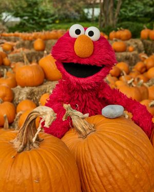 Image post by @elmo on Instagram