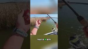 Video post by @lakeforkguy on YouTube