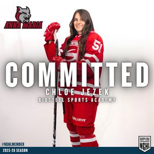 Image post by @nghlhockey on Instagram