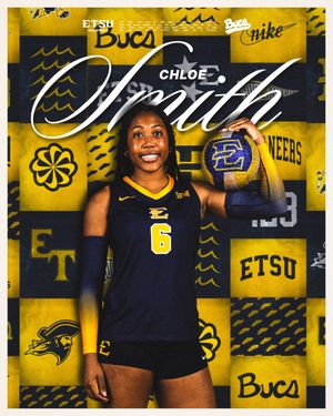 Image post by @etsuvolleyball on Instagram