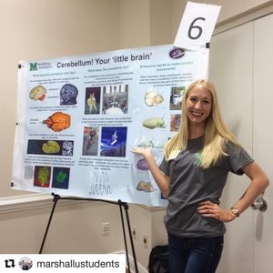 Image post by @marshallu on Instagram