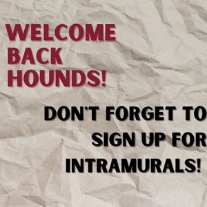 Image post by @uindyintramurals on Instagram