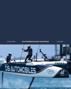 Image post by @sailgp on Instagram