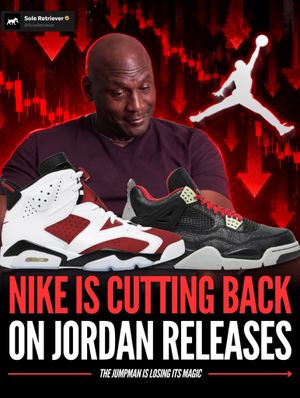 Image post by @soleretriever on Instagram
