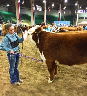 Image post by @nationalwestern on Instagram