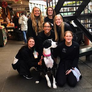 Image post by @cubuffsvb on Instagram