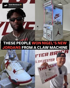 Image post by @soleretriever on Instagram