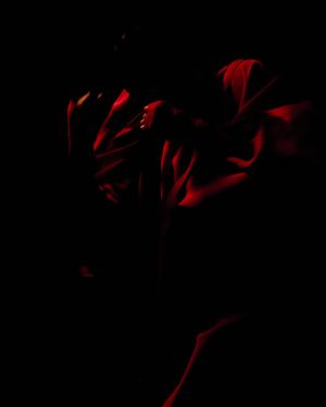 Image post by @dr.lense on Instagram