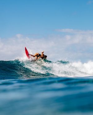 Image post by @surferleila on Instagram