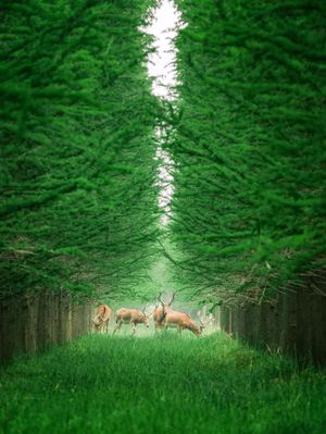 Image post by @unesco on Instagram