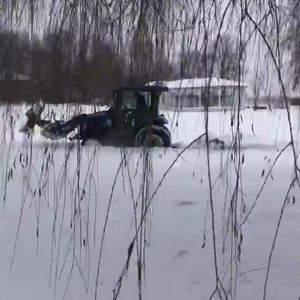 Video post by @fernresort on Facebook