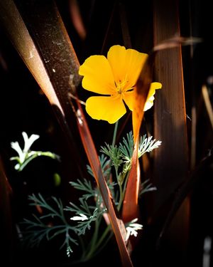 Image post by @JKlingPhotos on Facebook